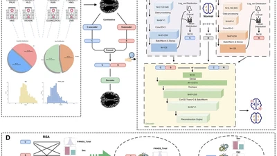 An Efficient Contrastive Deep Learning Model for Identifying Schizophrenia-Specific Neuroanatomical Variations featured image