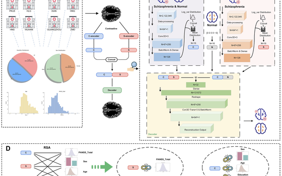 An Efficient Contrastive Deep Learning Model for Identifying Schizophrenia-Specific Neuroanatomical Variations featured image