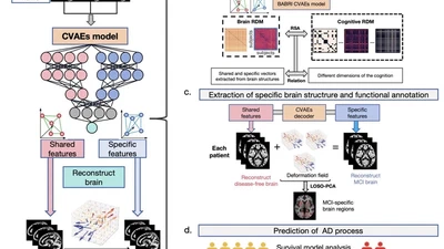 Decoupling MCI-specific signatures from shared neurobiological substrates of cognitive aging via deep learning featured image