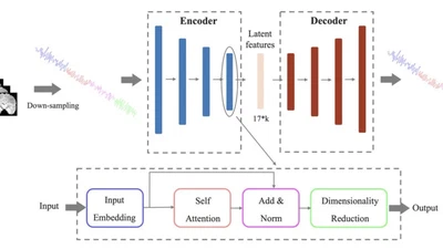 Low-Dimensional Temporal Representations of Brain Functional Networks Using a Transformer-Based Autoencoder featured image