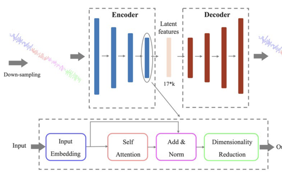 Low-Dimensional Temporal Representations of Brain Functional Networks Using a Transformer-Based Autoencoder featured image